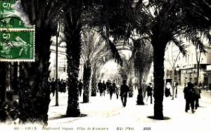 Oran - Boulevard Seguin - Allee des Palmiers - 1915